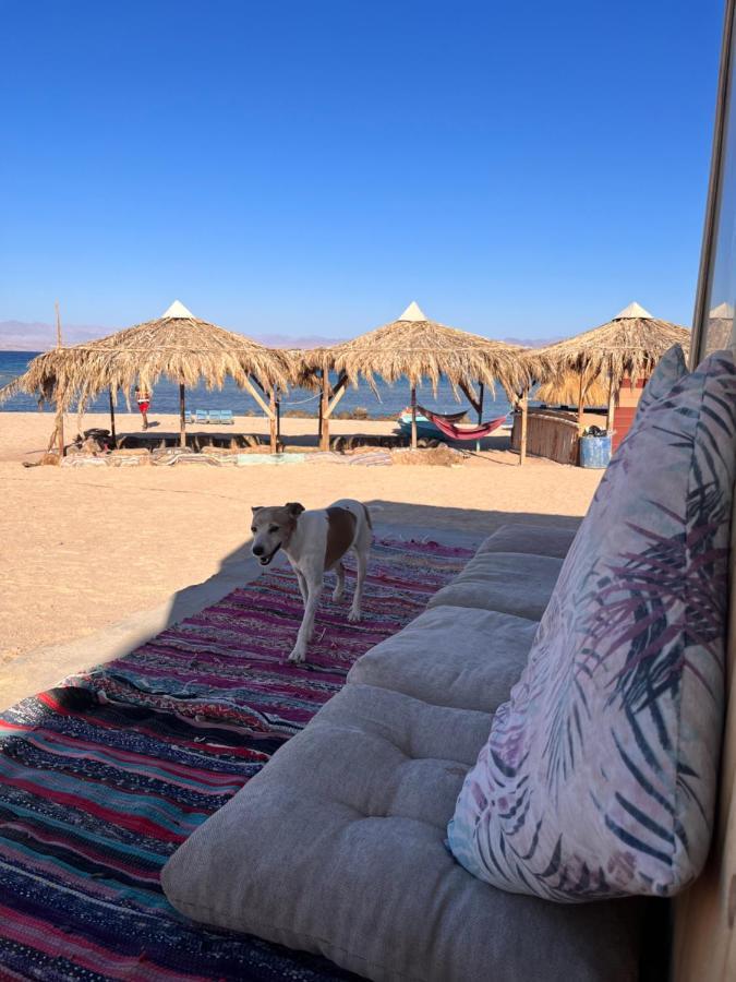 Abdo Caribbean Camp Hotel Nuweiba` Eksteriør billede
